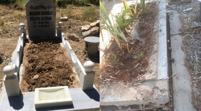 Urfa'da Ölüye'de Rahat Yok!