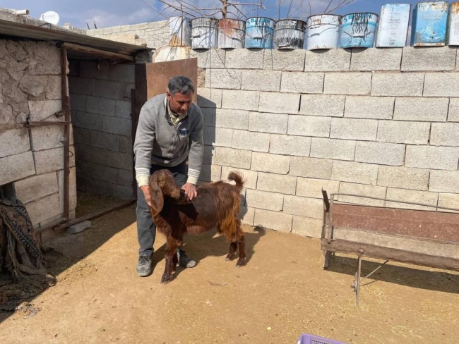Urfa’da lüks otomobilde akıl almaz hırsızlık!