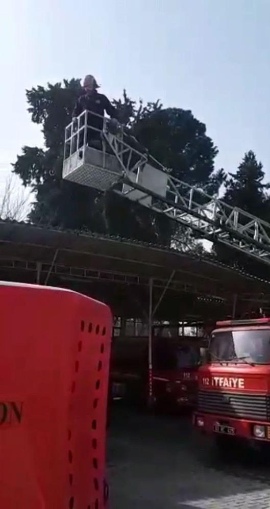  Urfa’da feci olay! Yere düşen itfaiye eri ağır yaralandı!