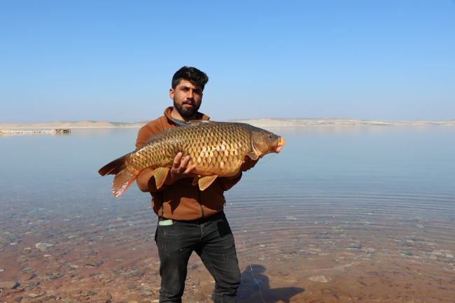  Urfa’da balık tutma yarışması düzenlendi