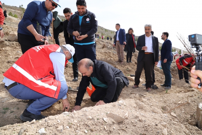 Şanlıurfa’da GARD Ormanı İçin Fidanlar Dikildi.