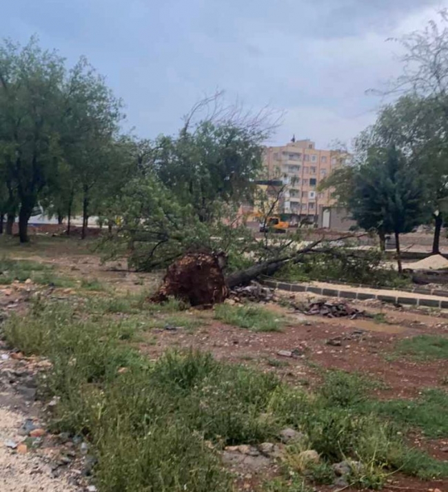Urfa'da yağmur ve fırtına sonrası yaşananlar!