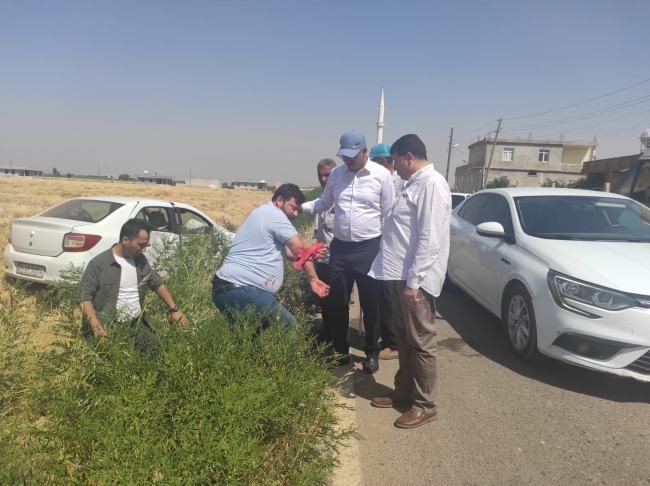 Şanlıurfa'da meydana gelen kazaya Başkan Kuş'tan yerinde müdahale!