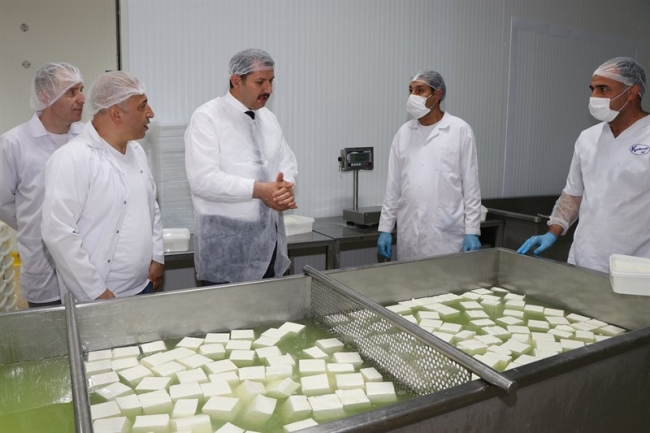 Vali Ayhan, OSB’de Fabrikaları İnceledi