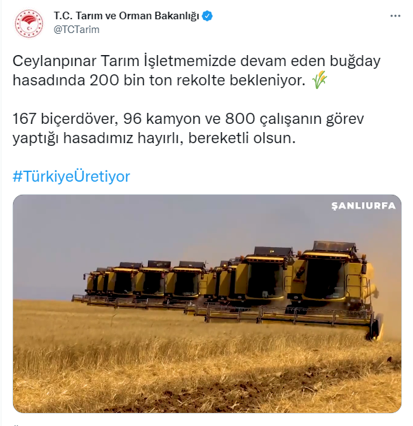 Ceylanpınar’dan Buğday hasadına 200 bin ton rekolte!