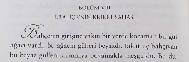 ALICE MİLLET BAHÇESİNDE