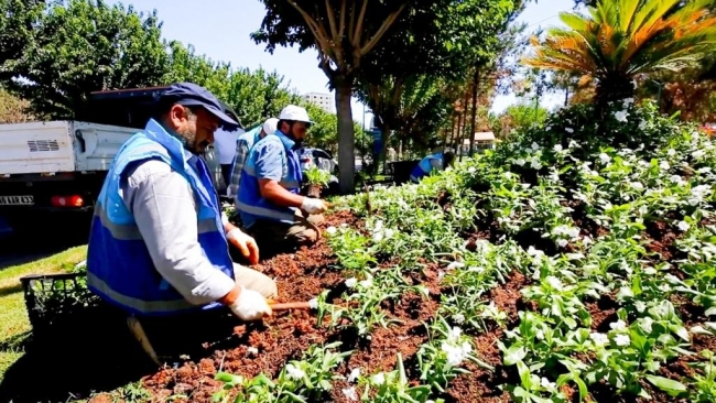 EYYÜBİYE PARKLARINDA PEYZAJ DÜZENLEMESİ