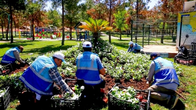 EYYÜBİYE PARKLARINDA PEYZAJ DÜZENLEMESİ