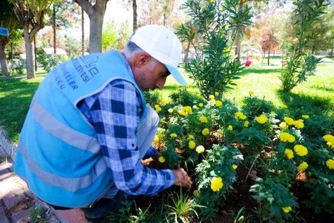 EYYÜBİYE PARKLARINDA PEYZAJ DÜZENLEMESİ