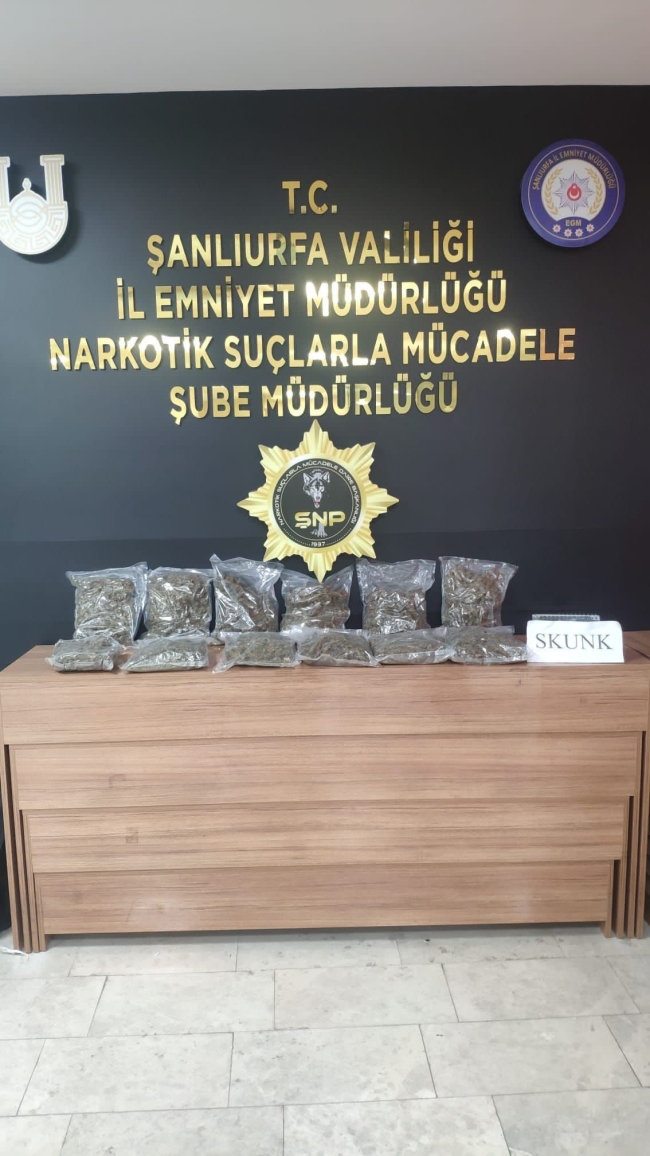 64 KİLOGRAM SKUNK ELE GEÇİRİLDİ: 11 TUTUKLAMA