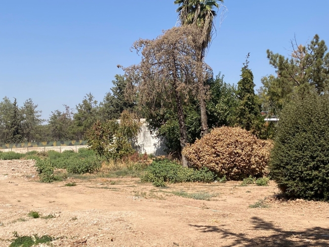 SEL SONRASI URFA KADERİNE Mİ TERK EDİLDİ?