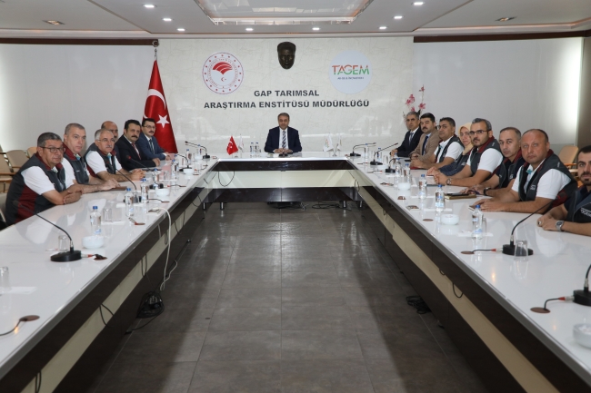 YERLİ TOHUM ALTIN DEĞERİNDE