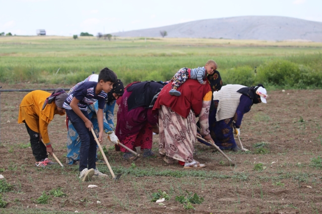HÜDA PAR: ŞANLIURFA'NIN ANATOMİSİ