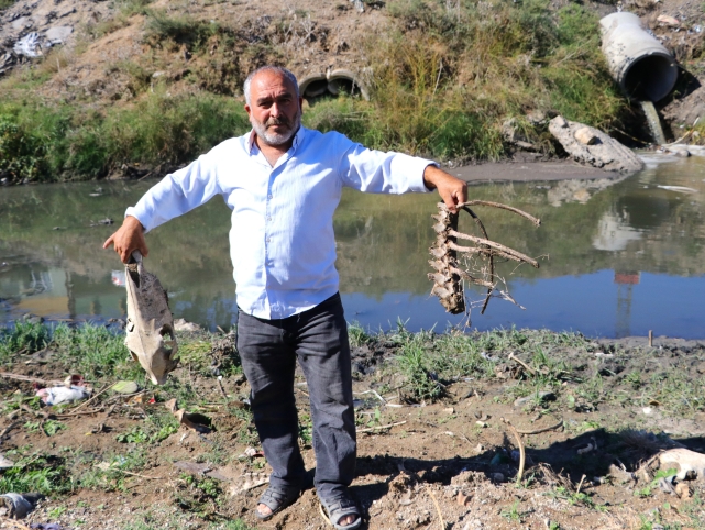 BATAKLIKTA KURBAĞA AVI
