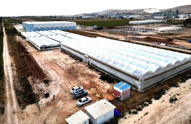 ŞANLIURFA'DA EJDER MEYVESİ YETİŞTİRİLİYOR