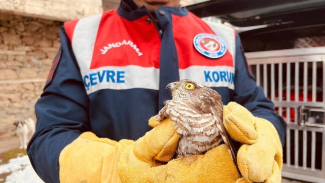 ŞANLIURFA'DA KAÇAK AVCILARA 57 BİN LİRALIK CEZA!