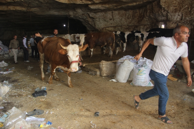 DEV MAĞARADA TAVAN ÇÖKTÜ