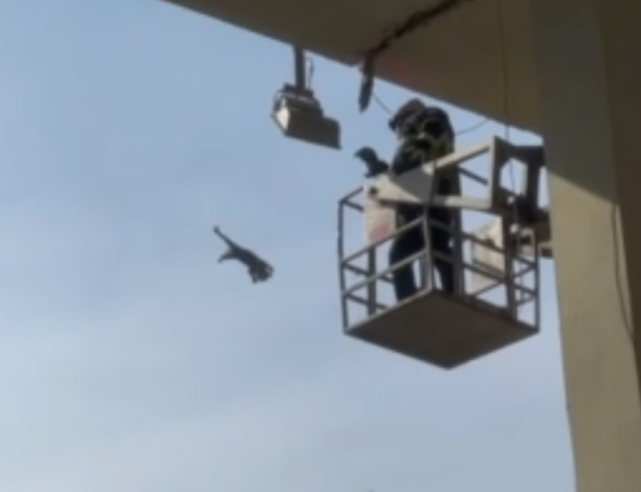 VATANDAŞ BATTANİYE AÇTI KEDİ KURTARMA SEFERBERLİĞİ BAŞLADI