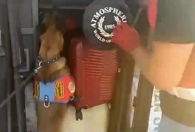 NARKOTİK KÖPEĞİ UYUŞTURUCU TİCARETİNE GEÇİT VERMEDİ