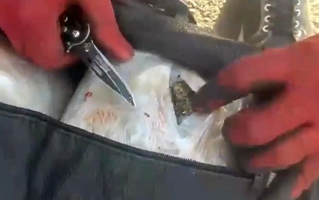 NARKOTİK KÖPEĞİ UYUŞTURUCU TİCARETİNE GEÇİT VERMEDİ
