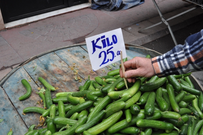 TURŞULUK MALZEME ALIRKEN BUNLARA DİKKAT EDİLMELİ