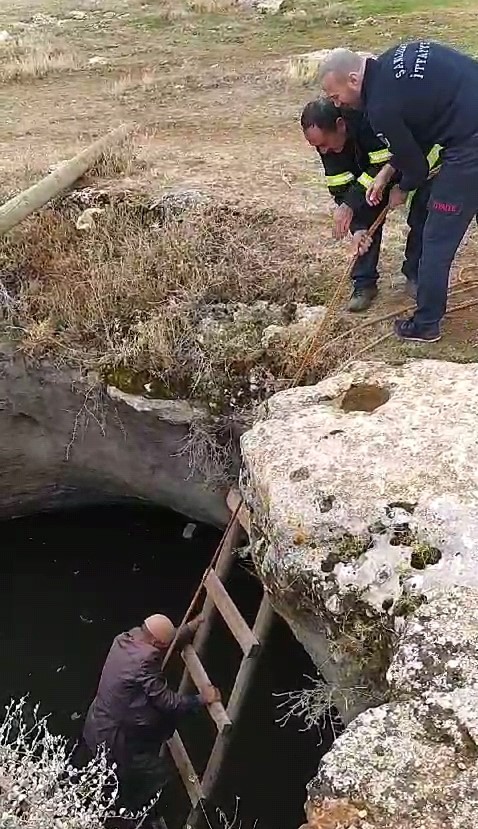 SARNICA DÜŞEN KAZLAR, İTFAİYE TARAFINDAN KURTARILDI