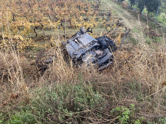 KONTROLDEN ÇIKAN OTOMOBİL ÜZÜM BAĞINA UÇTU: 2 YARALI