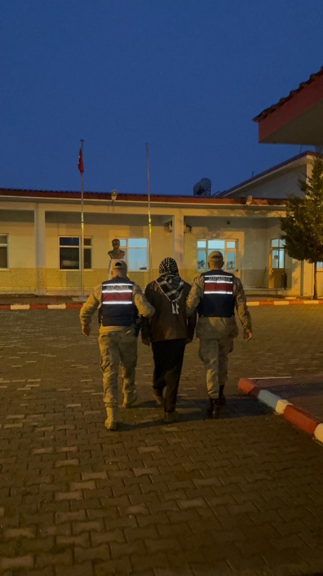 RÖMORKA KÖPEĞİ BAĞLAYIP SÜRÜKLEYEN ŞAHSA PARA CEZASI VERİLDİ