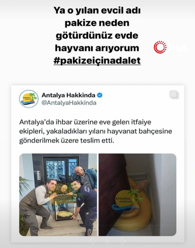APARTMANIN İÇİNDEN EVCİL PİTON ÇIKTI
