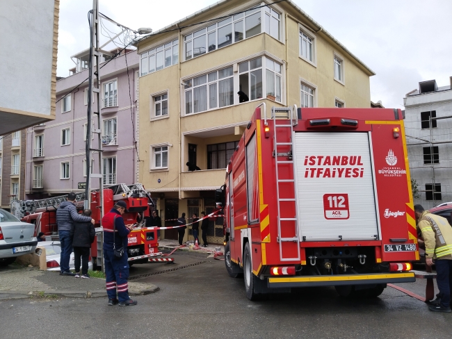 Dumandan etkilenen kedi kalp masajıyla kurtarıldı