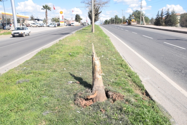 ŞANLIURFA’DA TRAFİK KAZASI: 1 ÖLÜ, 2 YARALI
