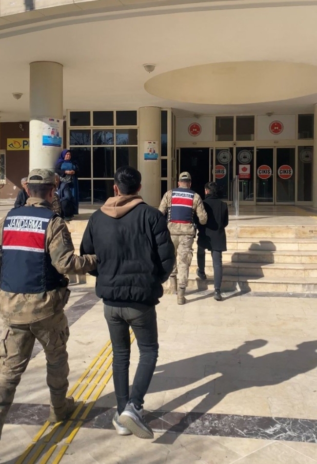 ŞANLIURFA'DA KURT KÖPEĞİNİ ÇALAN HIRSIZLAR YAKALANDI