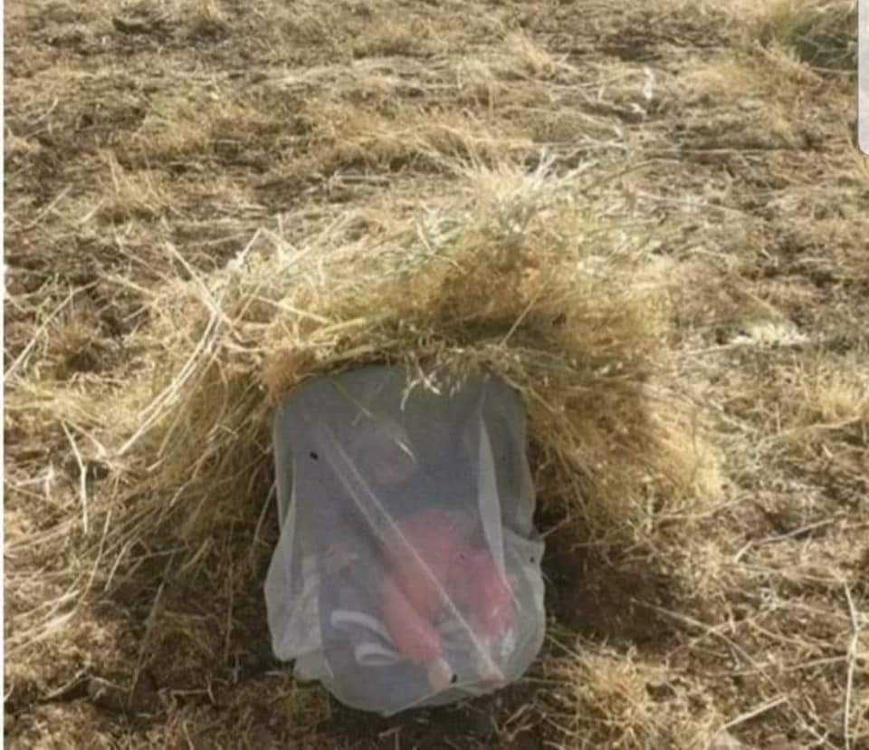 Urfalıları ağlatan fotoğraf