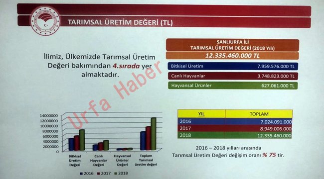 Urfa Tarımda Türkiye'de 4. Sırada