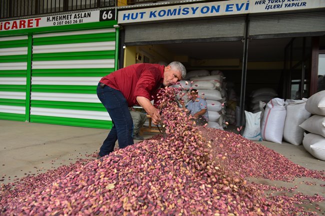 Fıstığın "daldan baklavaya" uzanan serüveni