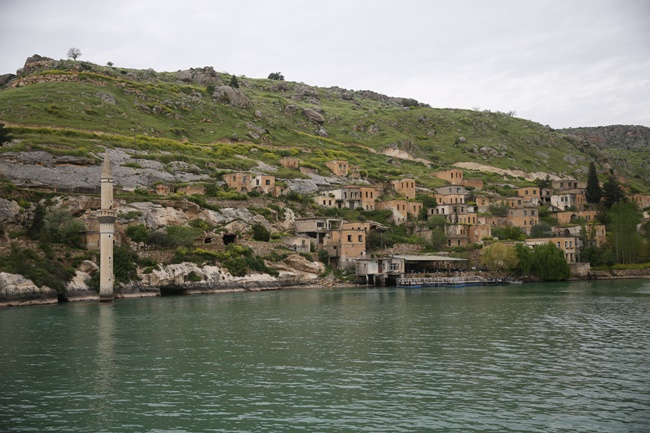 Halfeti'nin "karagülü" çiçek açtı