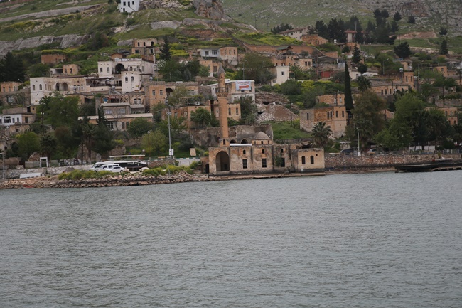 Halfeti'nin "karagülü" çiçek açtı