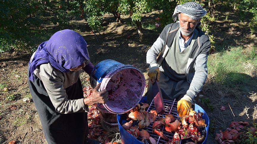 Nar taneleri binbir zahmetle pekmeze dönüşüyor