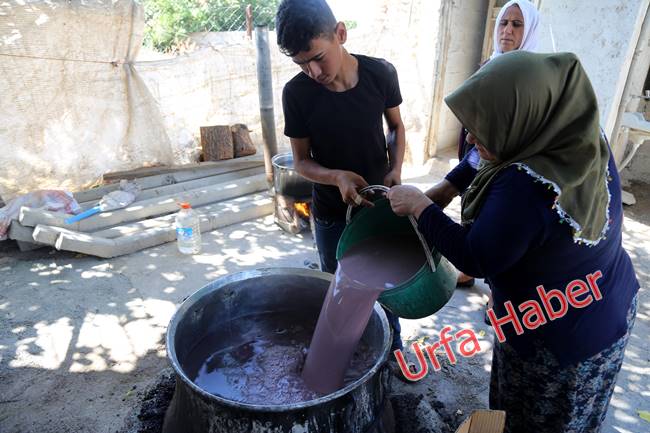 Urfa'da pekmez zamanı başladı
