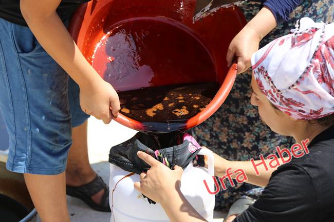 Urfa'da pekmez zamanı başladı