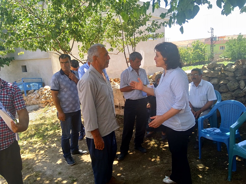 HDP Urfa’da 24 Haziran’a hazır