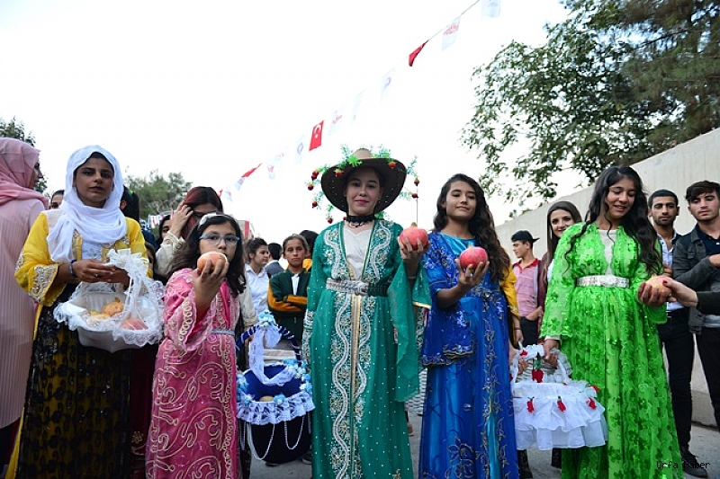 Suruç Festivalden Tam Not Aldı
