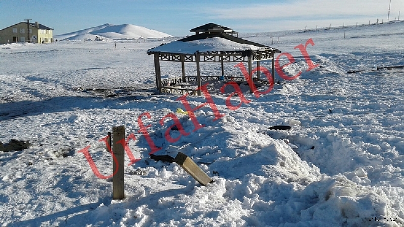 Karacadağ’da Kamelyaları Yaktılar