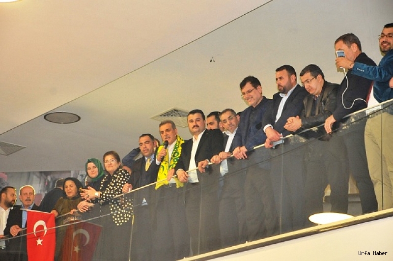 Beyazgül Zaferini İlan Etti