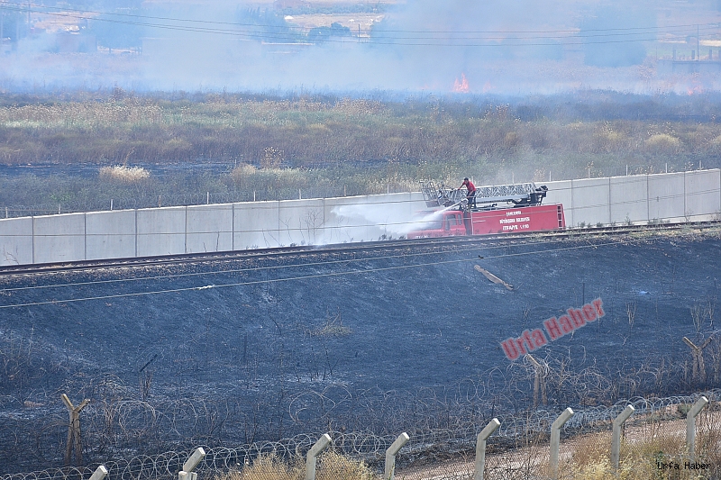 Suriye'de başladı Urfa'ya sıçradı