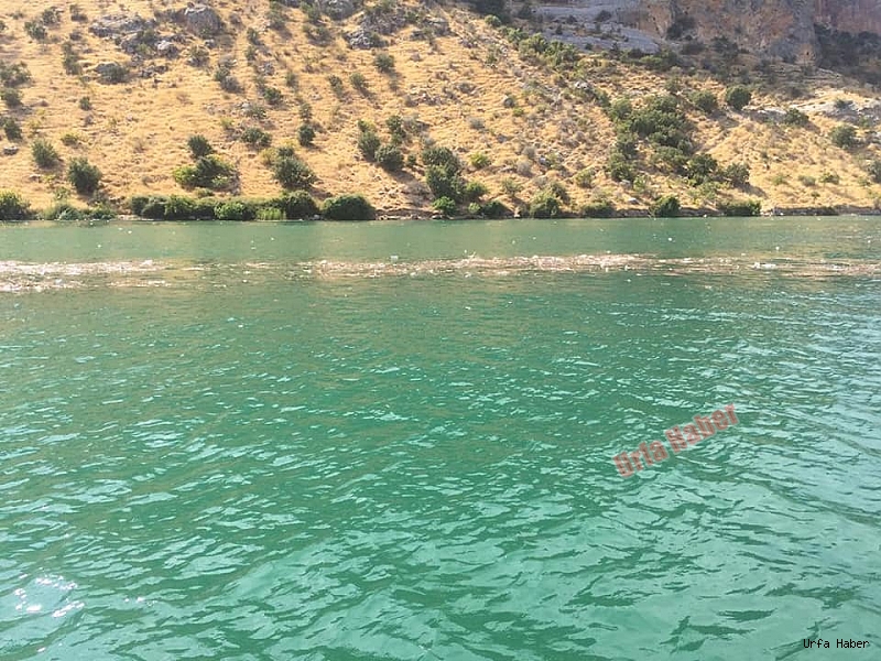 Halfeti Elden Gidiyor mu?