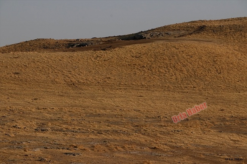 Karahantepe'deki kazı çalışmaları