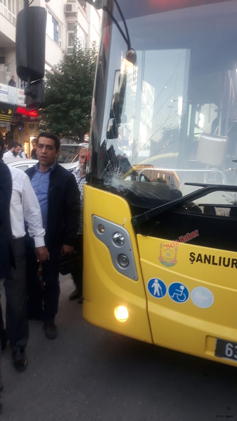 Urfa'da otobüs yayaya çarptı