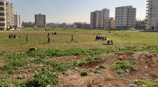 Urfalıların piknik keyfi