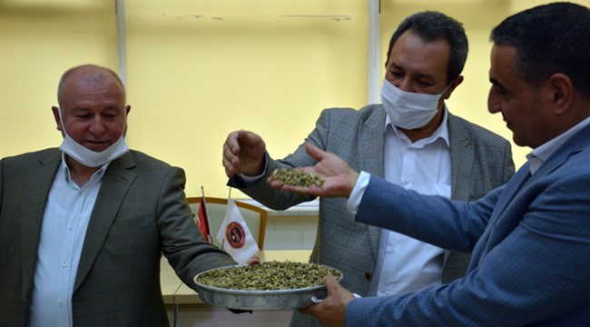 Urfa'da ilk hasat töreni yapıldı